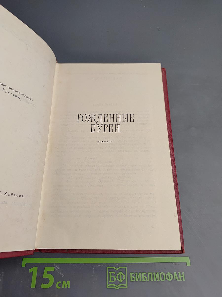 Рожденные бурей. Том II