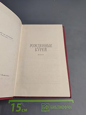 Рожденные бурей. Том II