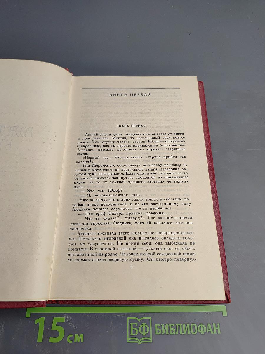 Рожденные бурей. Том II