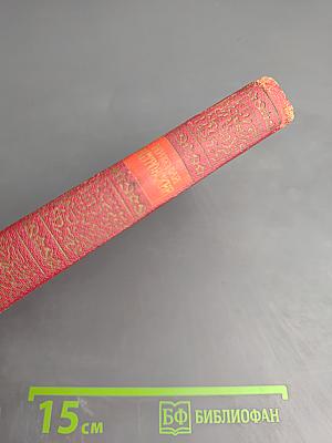 Рожденные бурей. Том II