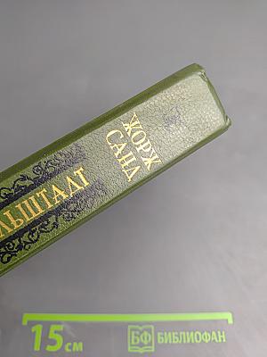 Графиня Рудольштадт