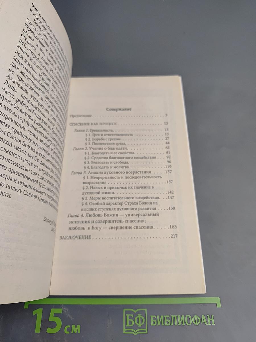 Православное учение о личном спасении. Спасение как процесс