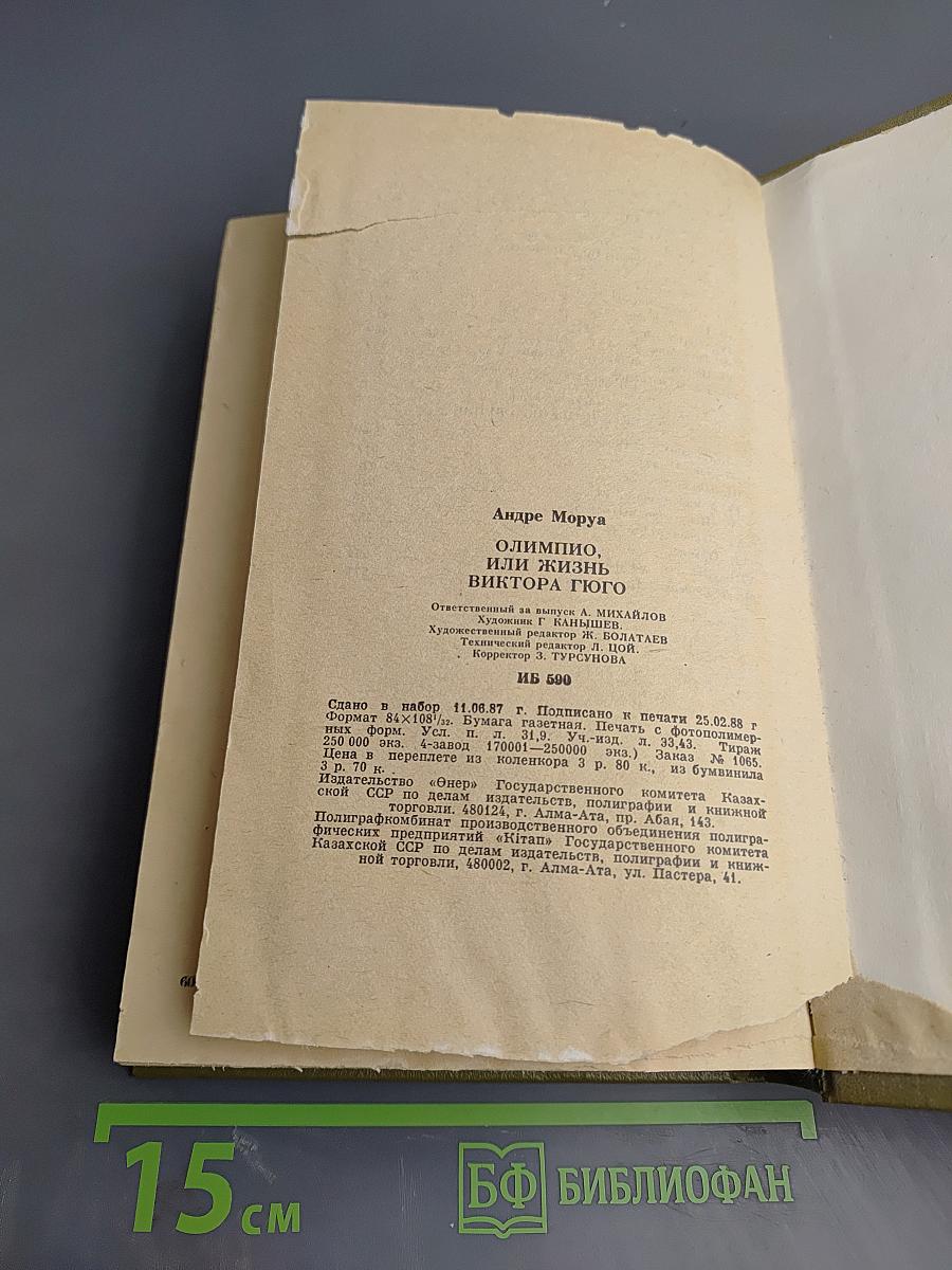 Олимпио или Жизнь Виктора Гюго