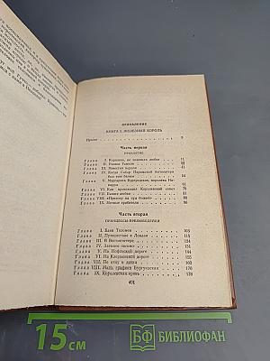Железный король. Узница Шато-Гайара