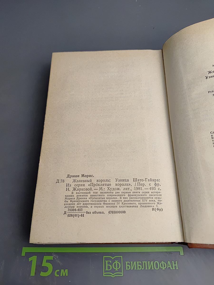 Железный король. Узница Шато-Гайара