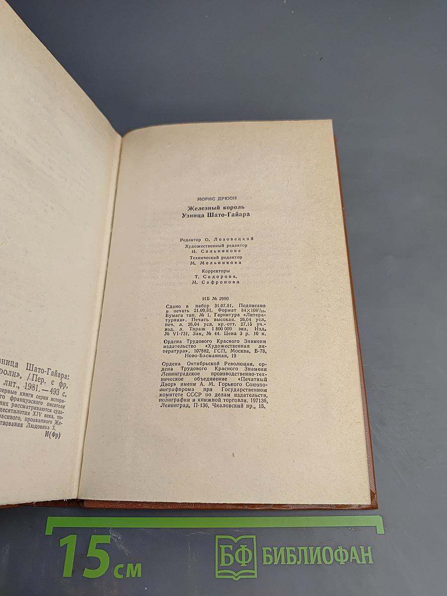 Железный король. Узница Шато-Гайара