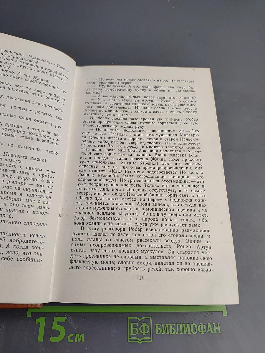 Железный король. Узница Шато-Гайара