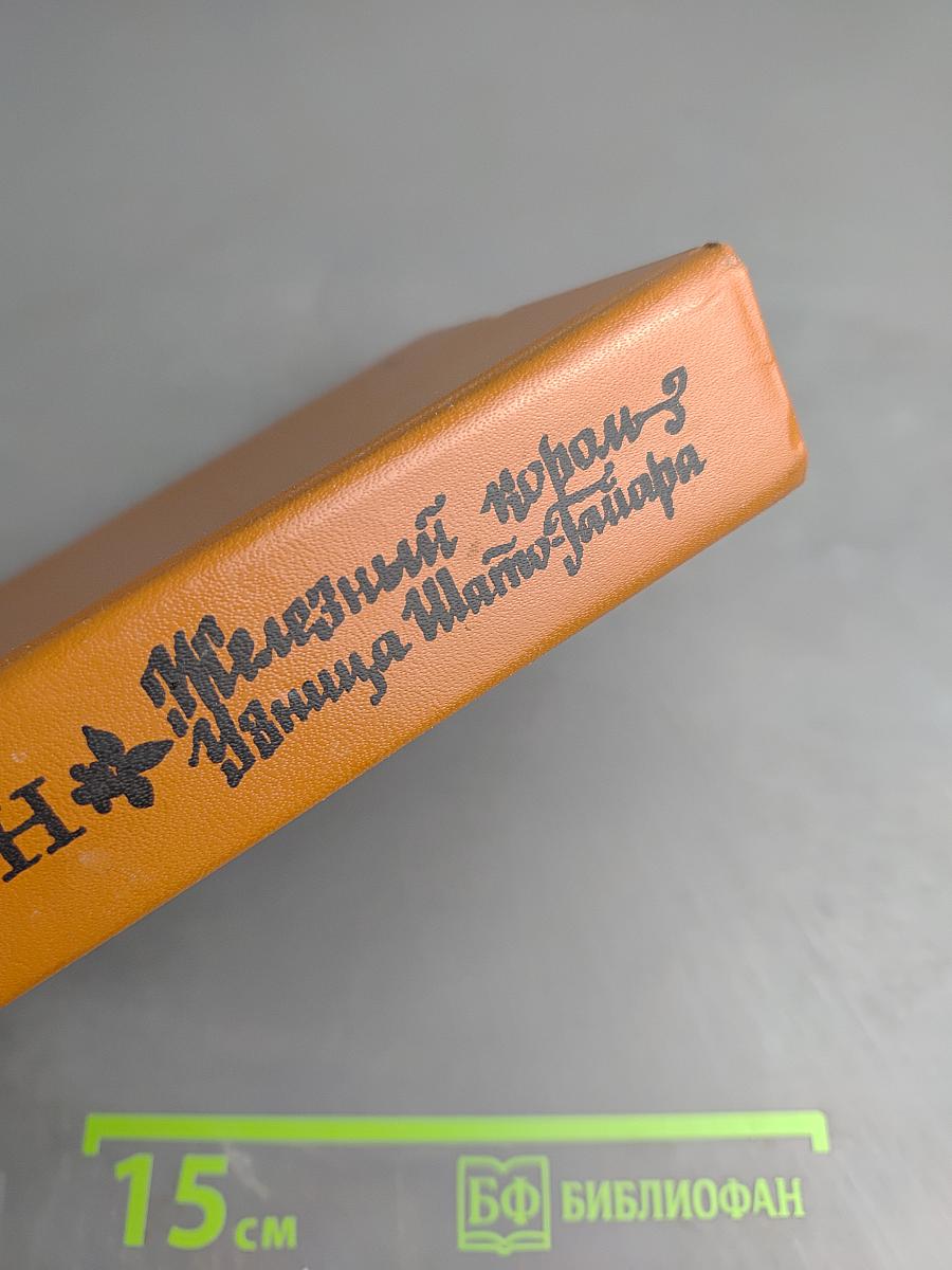 Железный король. Узница Шато-Гайара