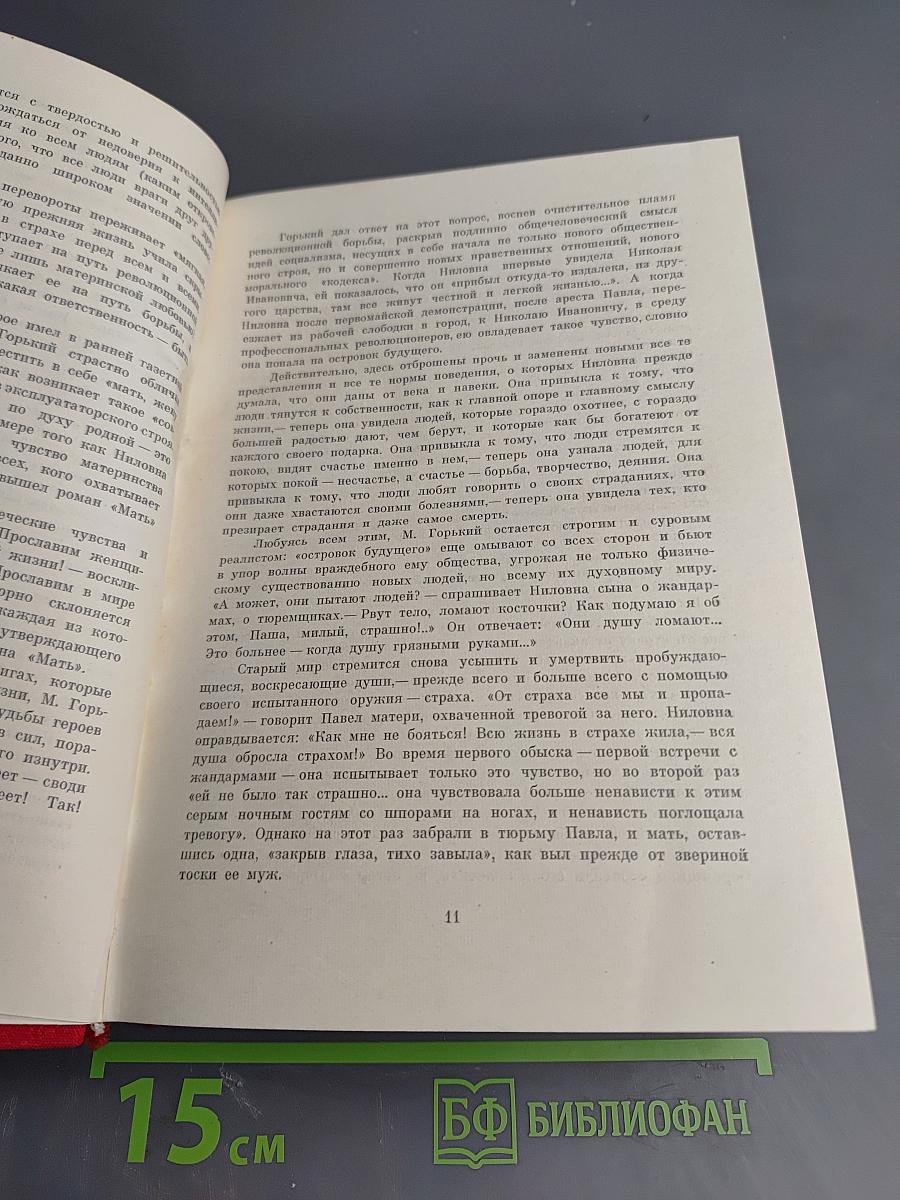 Мать. Дело Артамоновых