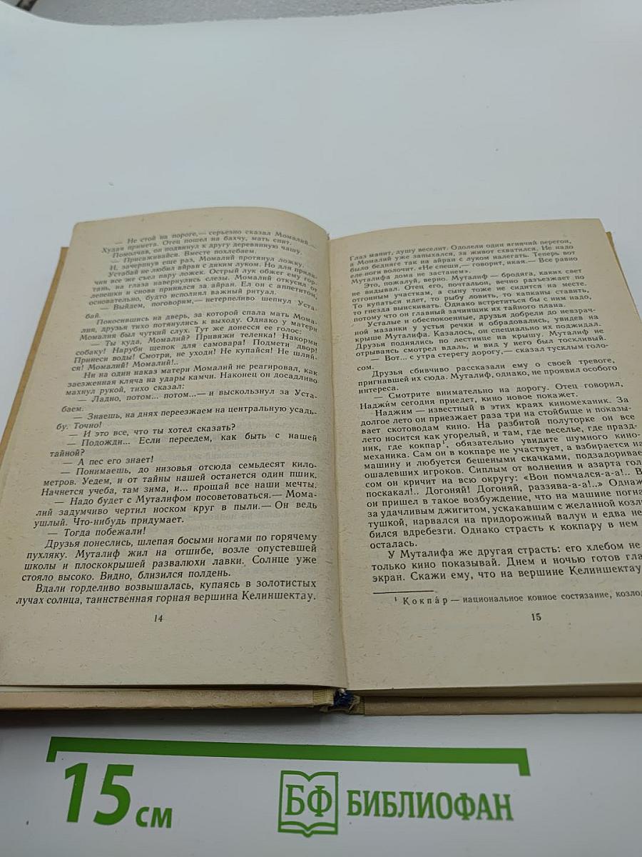 Каменные верблюды Келиншектау