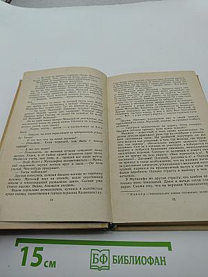 Каменные верблюды Келиншектау