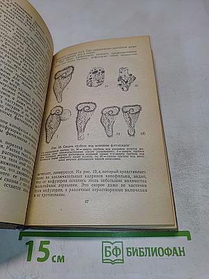 Целебные яды растений. Повесть о фитонцидах