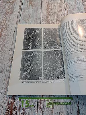 Brain Research. International Multidisciplinary Journal Devoted to Fundamental Research in the Brain Sciences. Vol. 115 No. 1