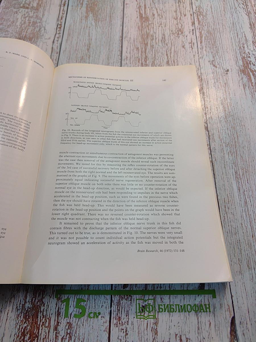 Brain Research, Volume 46