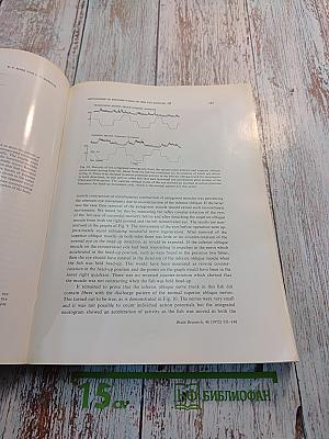 Brain Research, Volume 46