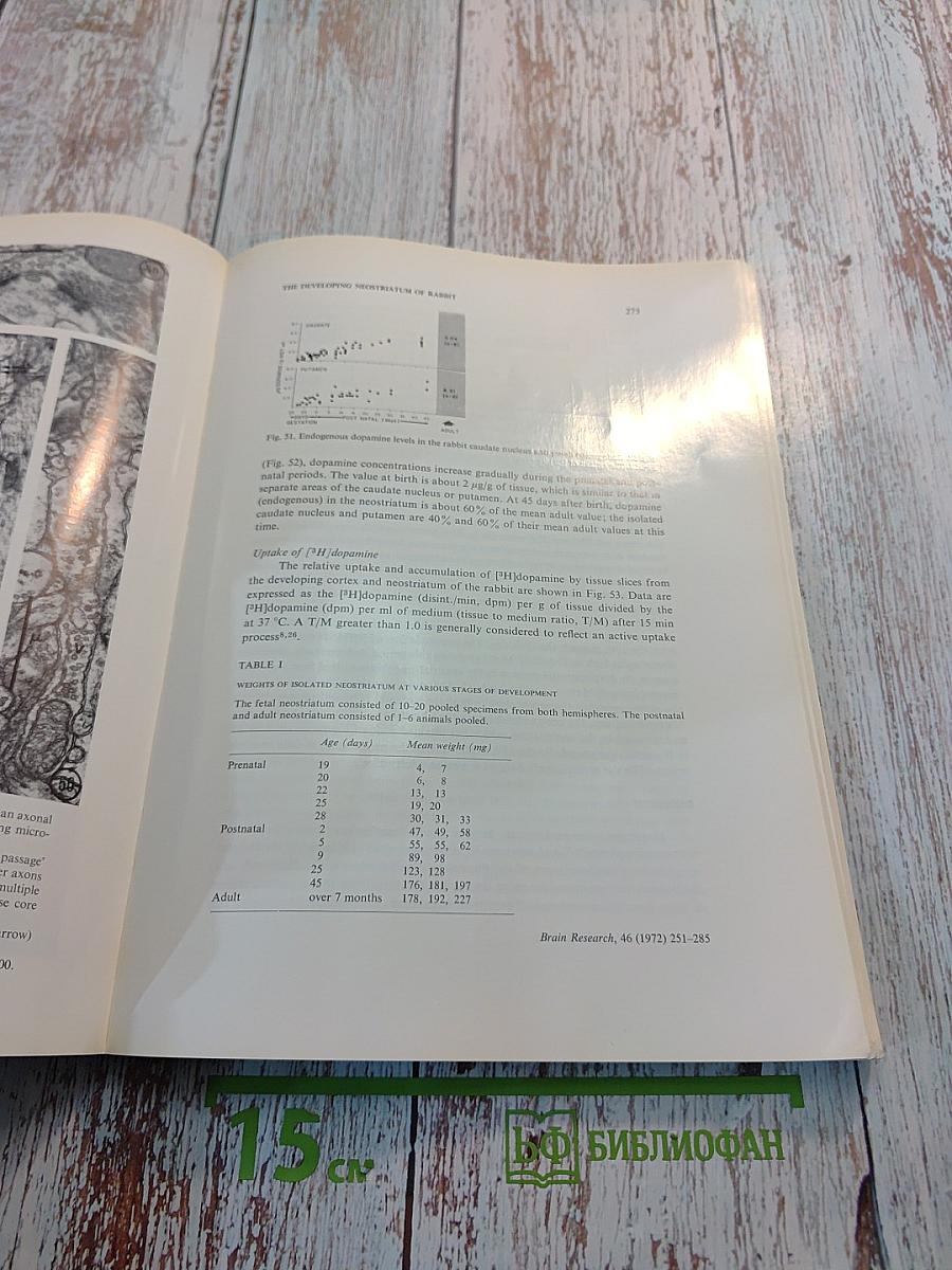 Brain Research, Volume 46