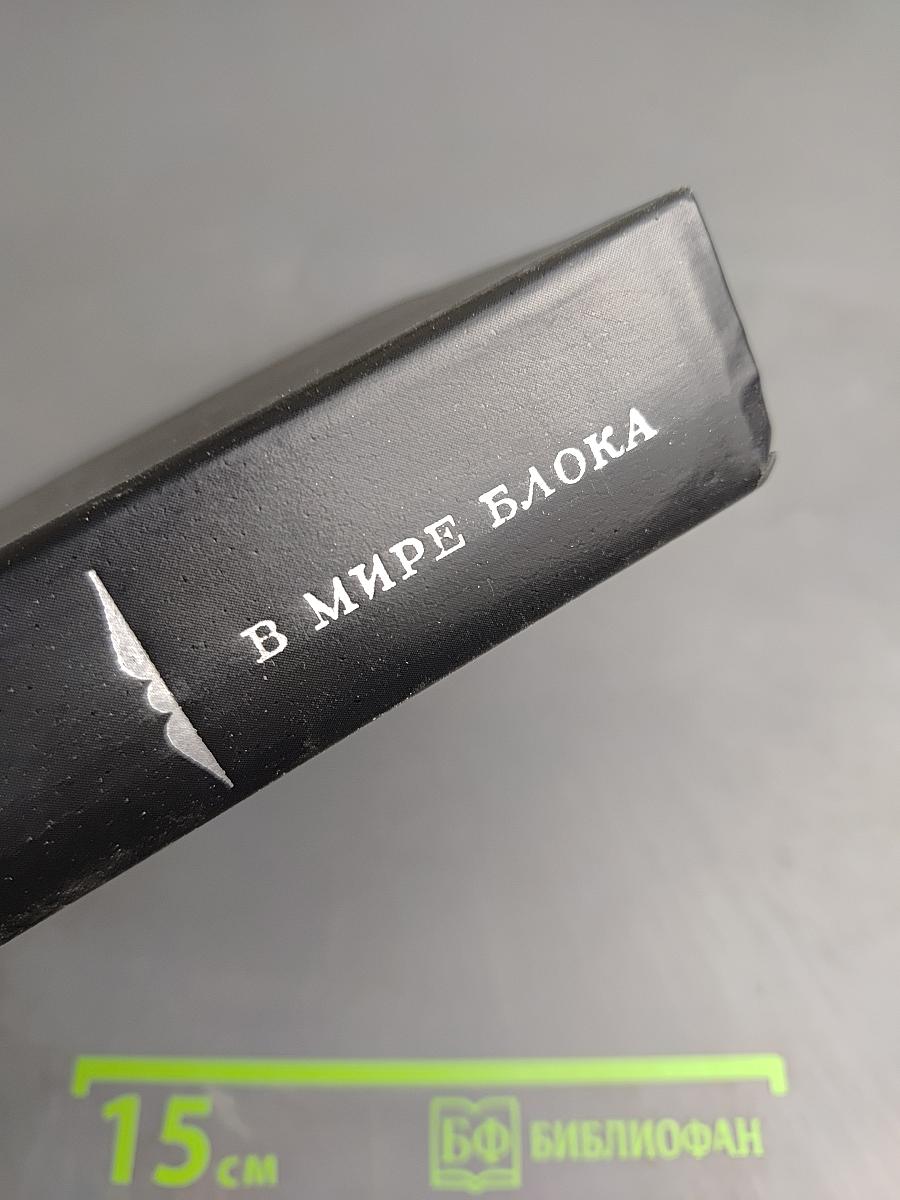 В мире Блока