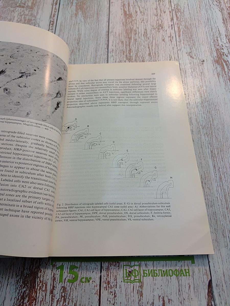 Brain Research. International Multidisciplinary Journal Devoted to Fundamental Research in the Brain Sciences. Volume 183, Number 2