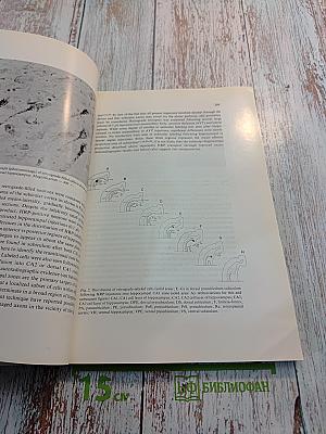 Brain Research. International Multidisciplinary Journal Devoted to Fundamental Research in the Brain Sciences. Volume 183, Number 2