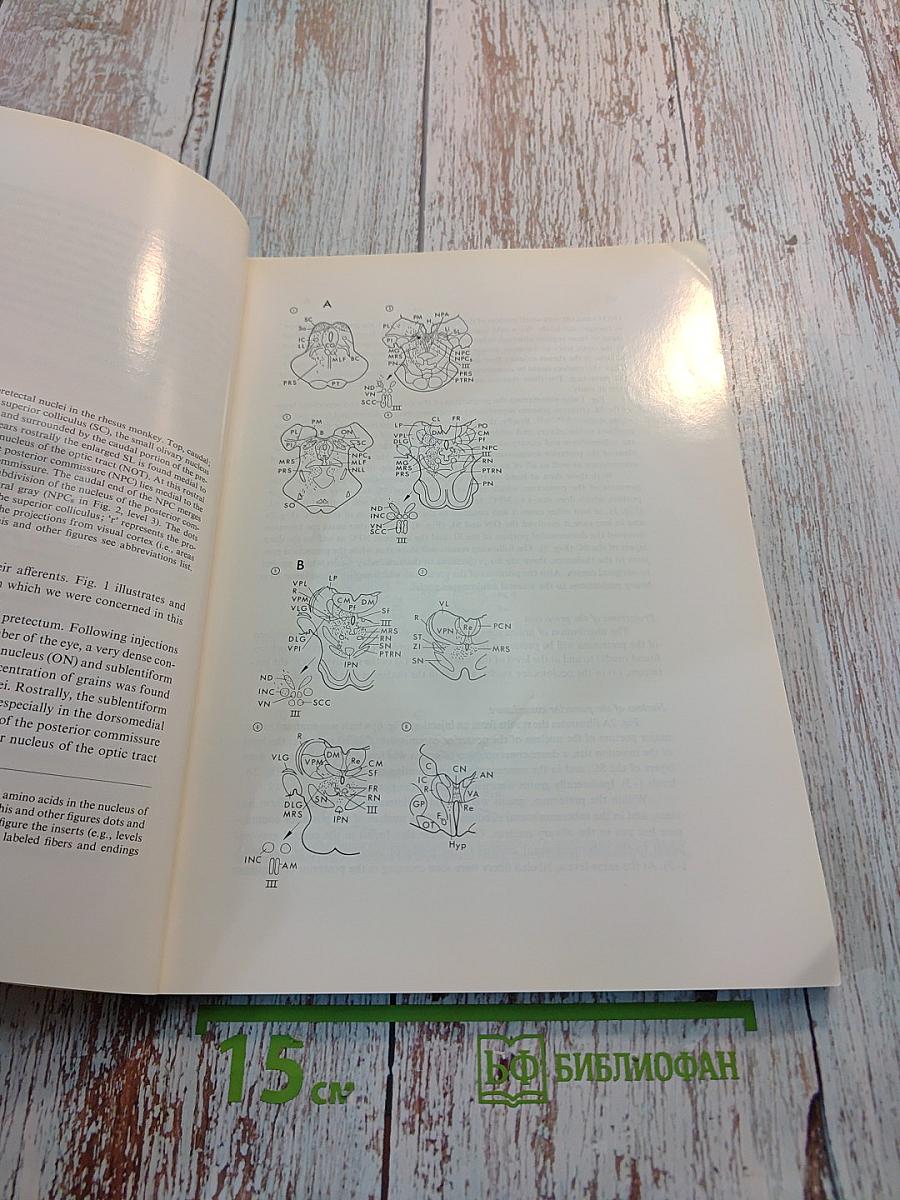 Brain Research, Vol. 127 No. 2