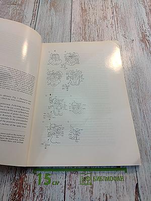 Brain Research, Vol. 127 No. 2