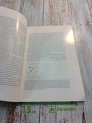 Brain Research, Vol. 127 No. 2