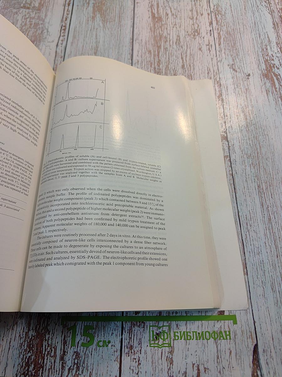 Brain Research. International Multidisciplinary Journal Devoted to Fundamental Research in the Brain Sciences. Vol. 182, No. 2