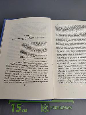 Позолоченный век