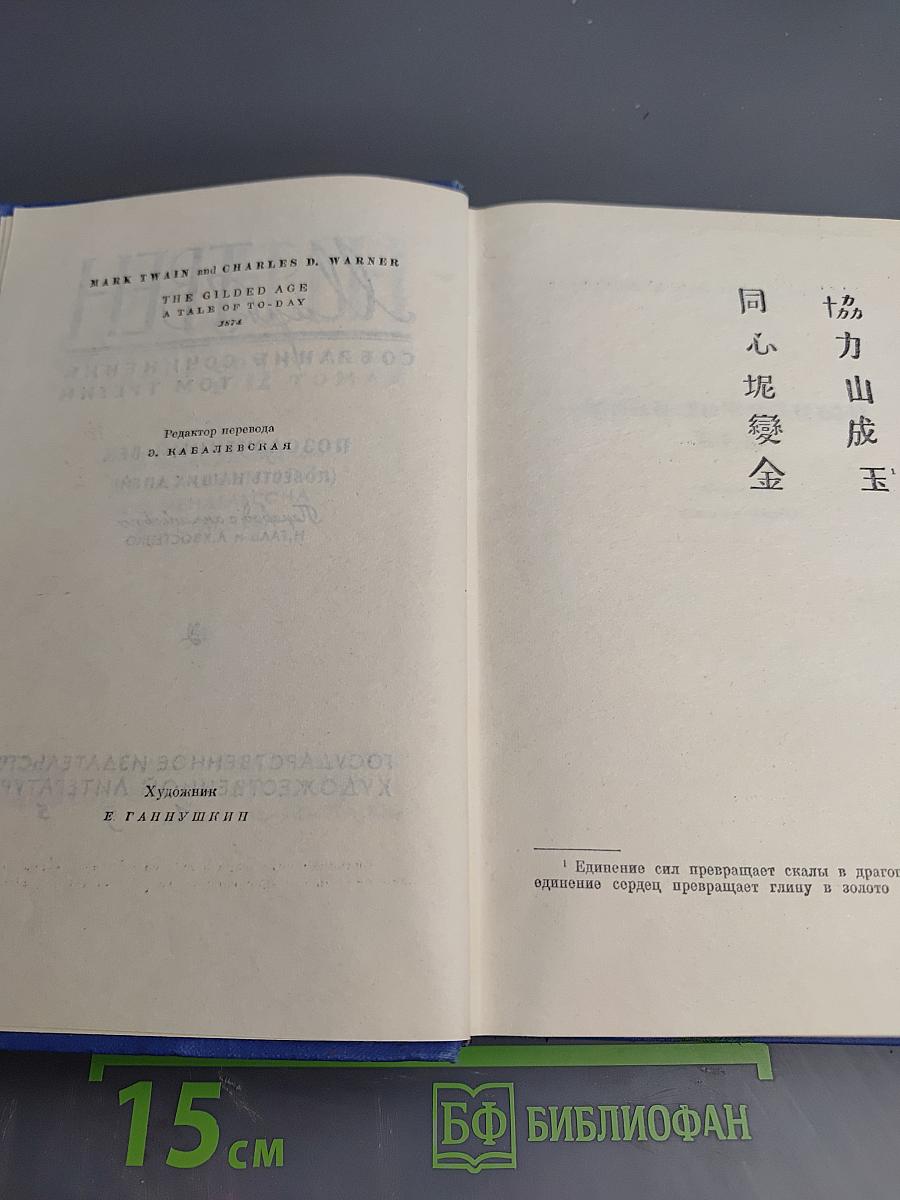 Позолоченный век