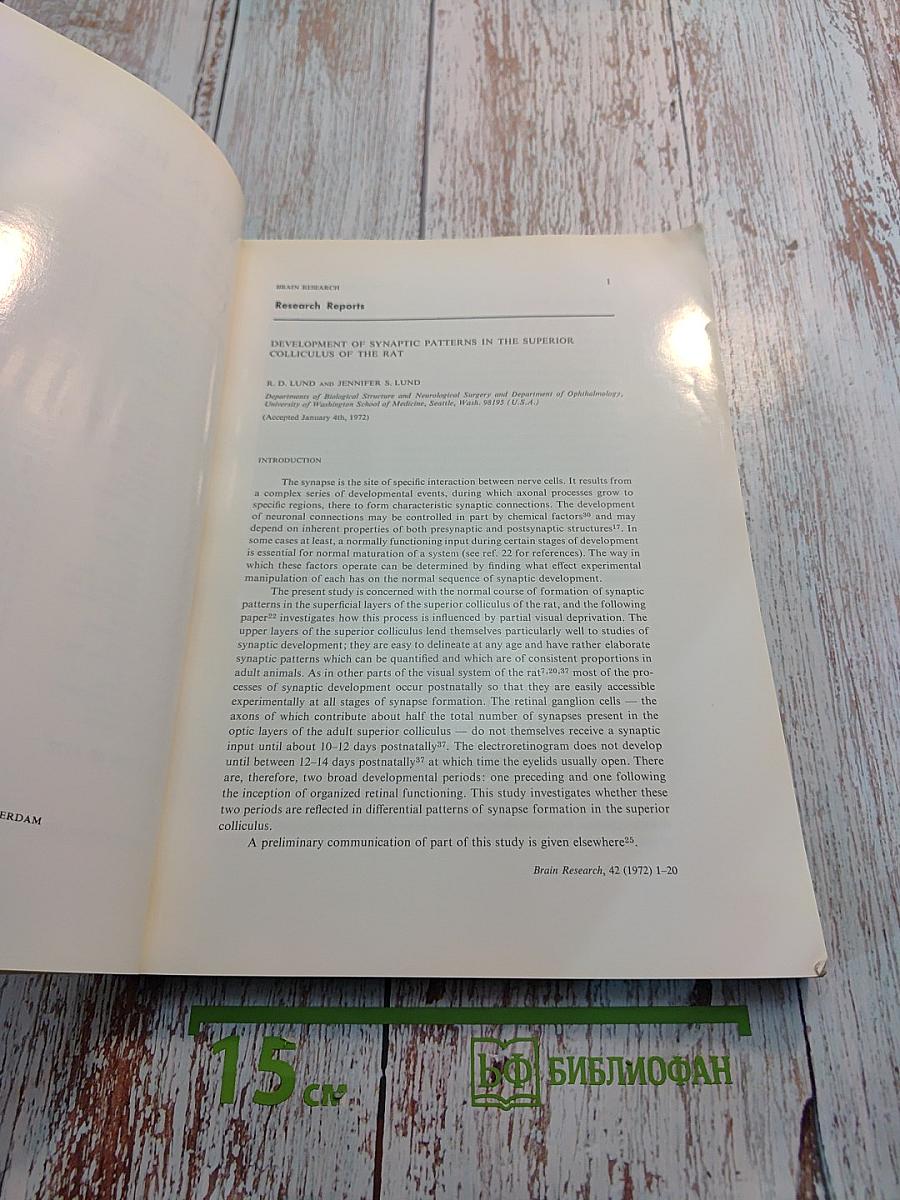 Brain Research. International Multidisciplinary Journal. Volume 42, No. 1