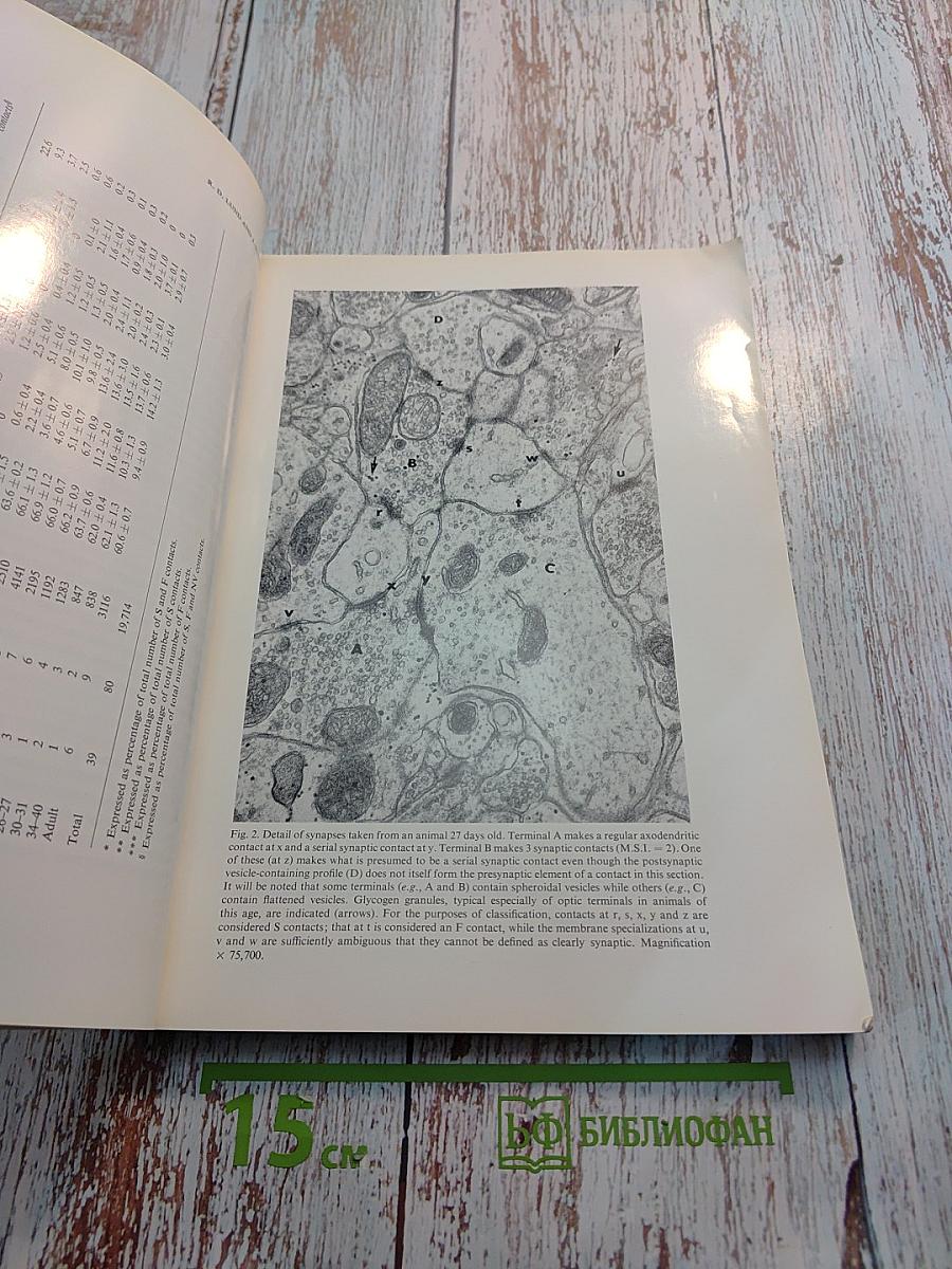 Brain Research. International Multidisciplinary Journal. Volume 42, No. 1