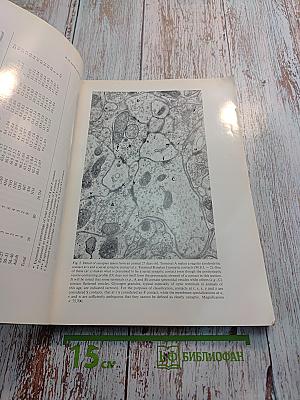 Brain Research. International Multidisciplinary Journal. Volume 42, No. 1