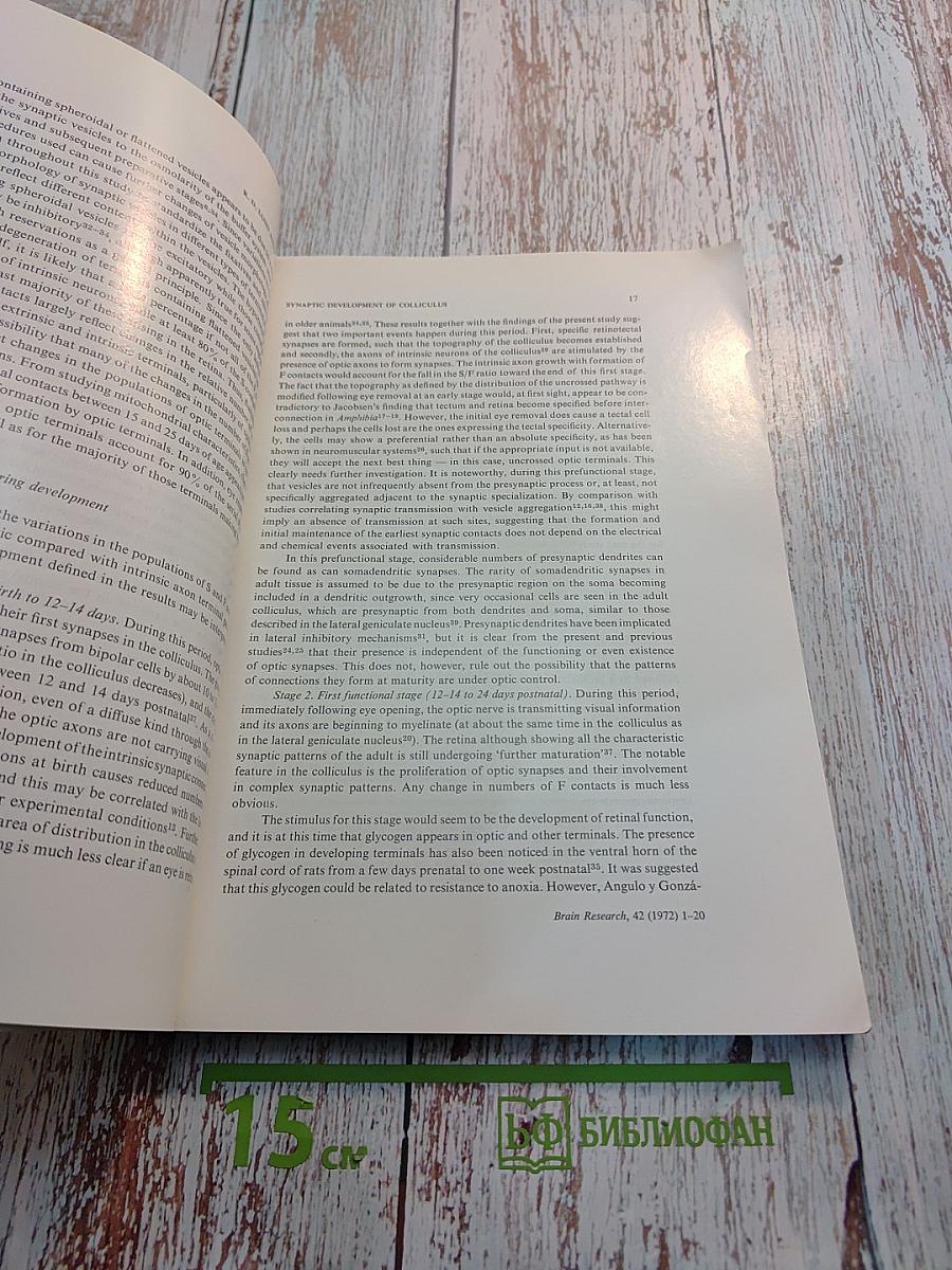 Brain Research. International Multidisciplinary Journal. Volume 42, No. 1