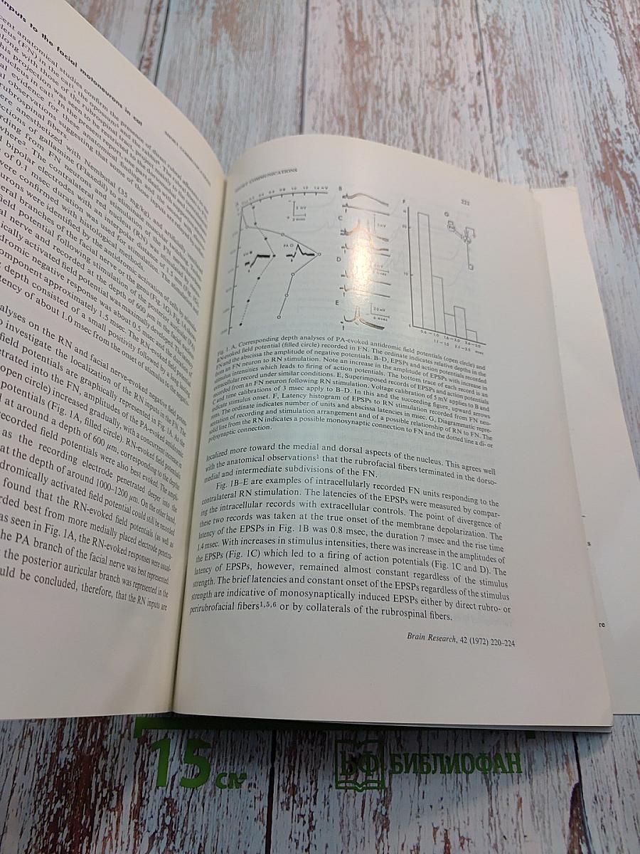 Brain Research. International Multidisciplinary Journal. Volume 42, No. 1