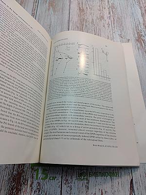 Brain Research. International Multidisciplinary Journal. Volume 42, No. 1