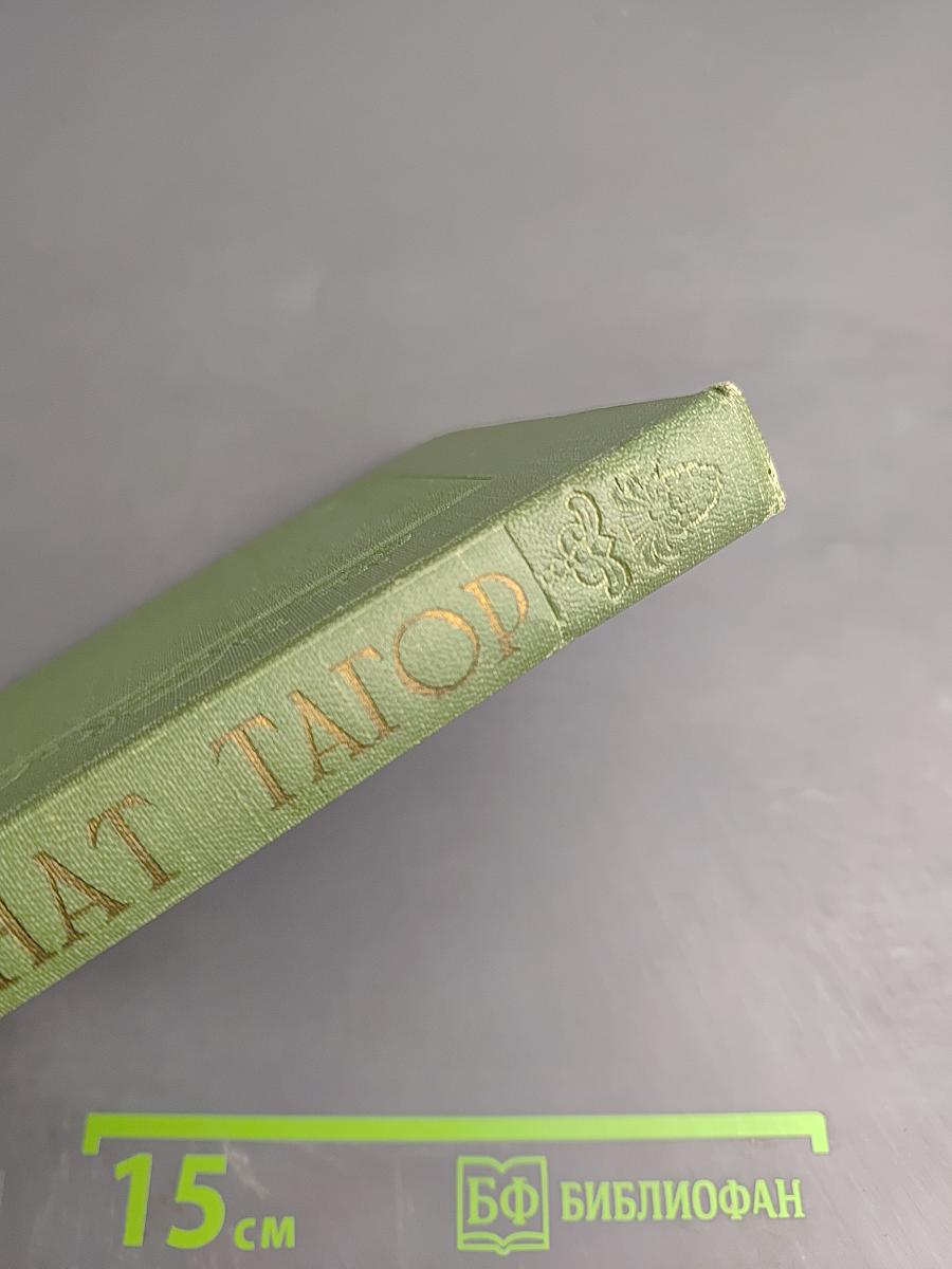 Рабиндранат Тагор. Сочинения. Том пятый. Рассказы