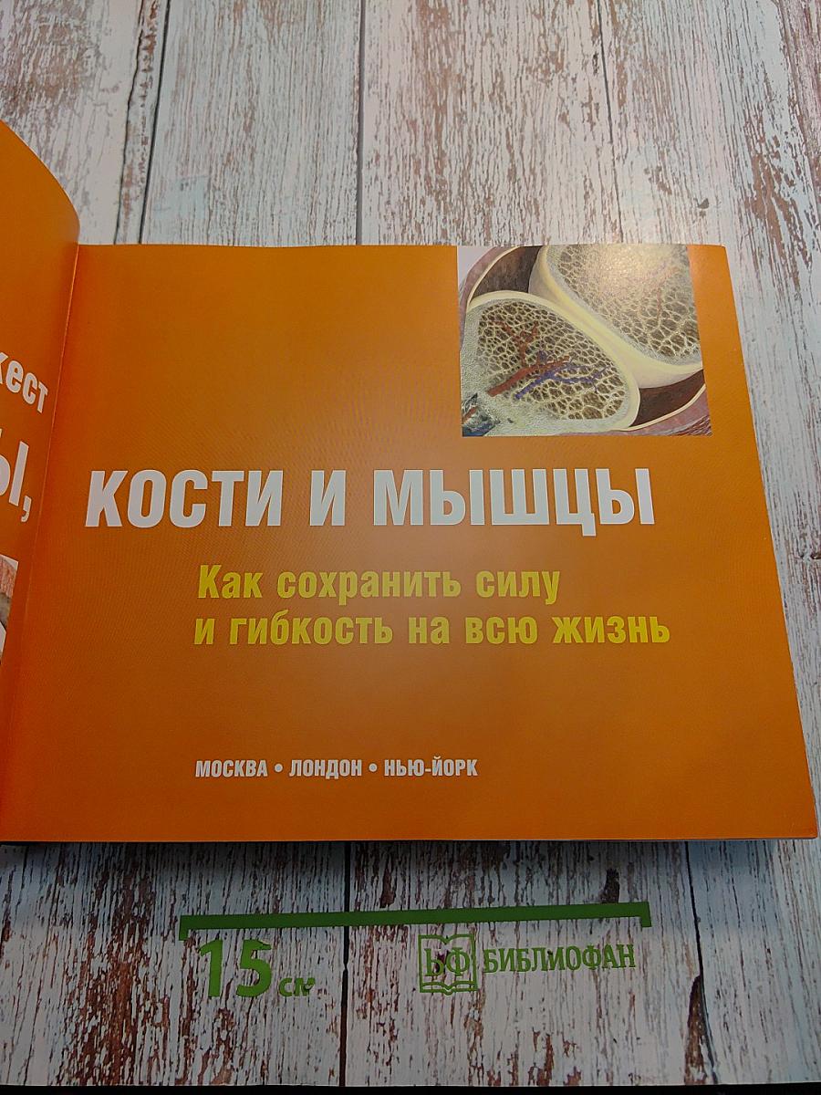 Здоровые суставы, кости и мышцы