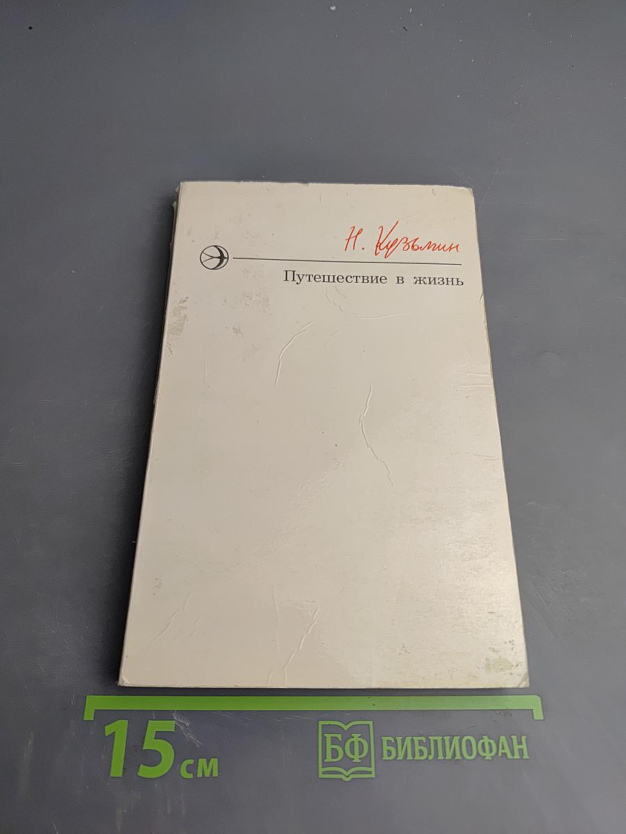 Путешествие в жизнь