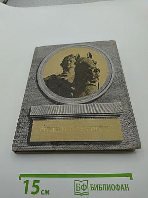 Медный всадник
