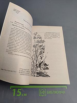 Рэйки и я. Рэйки из первых рук