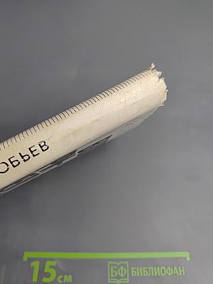 Вот пришел великан...