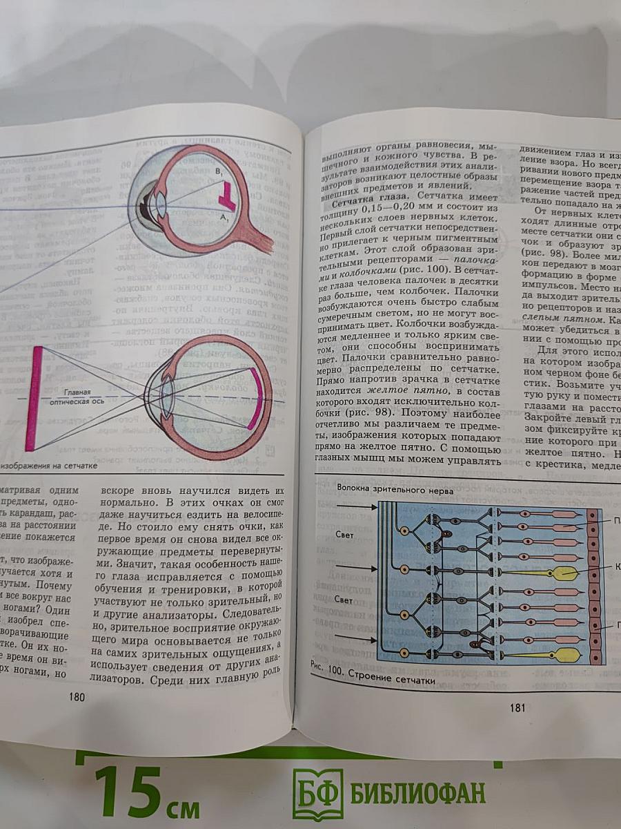 Биология. Человек. 9 класс
