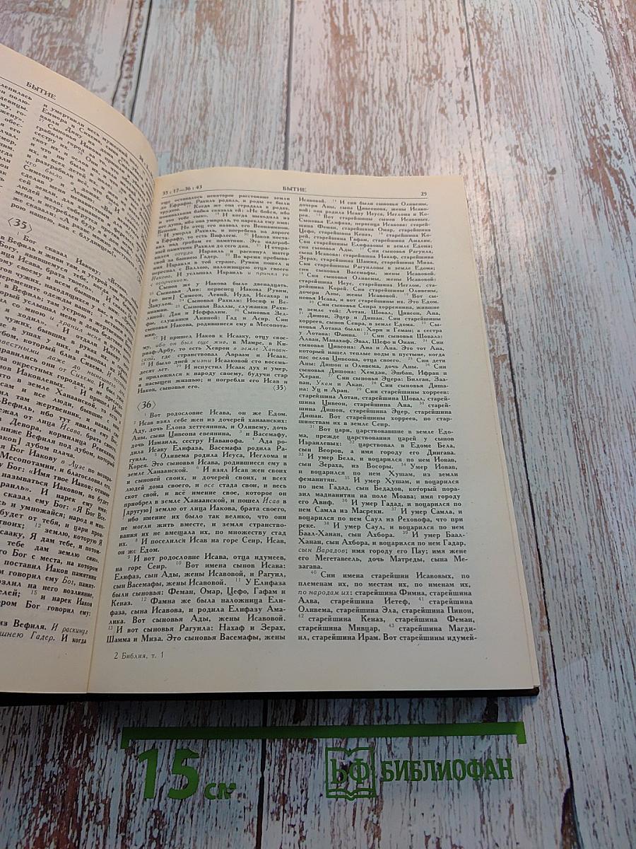 Библия. Том первый. Ветхий Завет. От Бытия до Книги Премудрости Иисуса, сына Сирахова