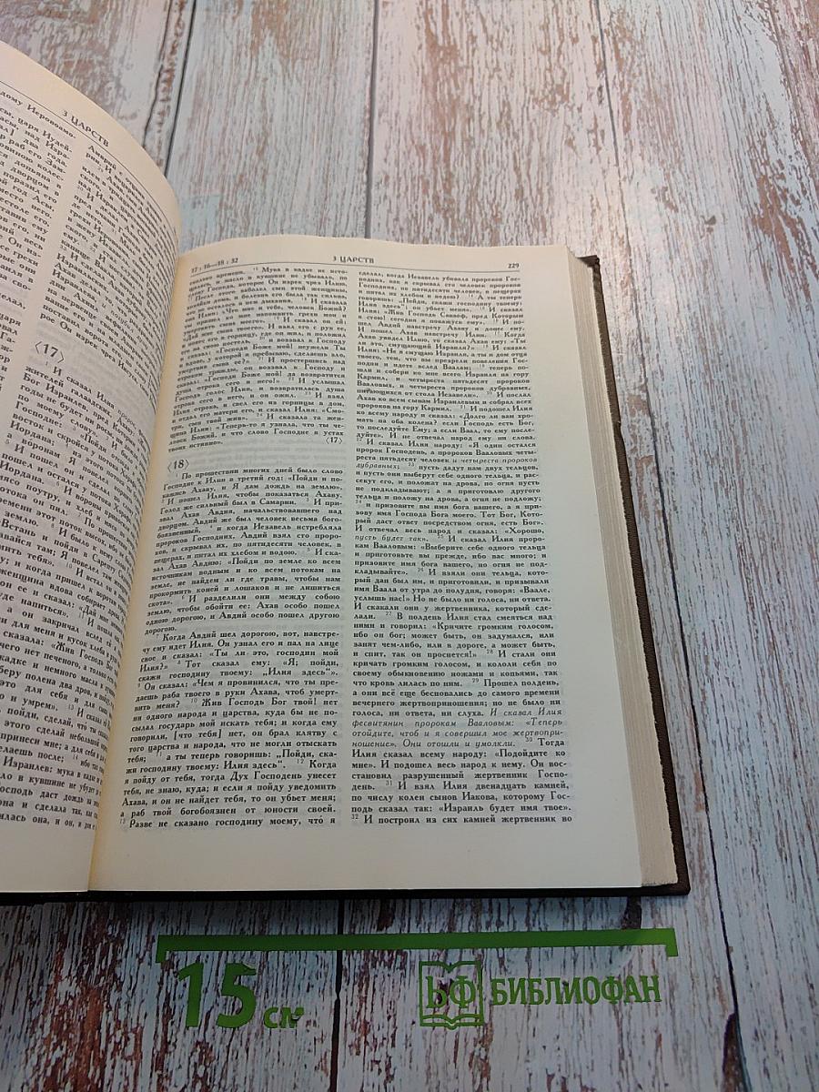 Библия. Том первый. Ветхий Завет. От Бытия до Книги Премудрости Иисуса, сына Сирахова