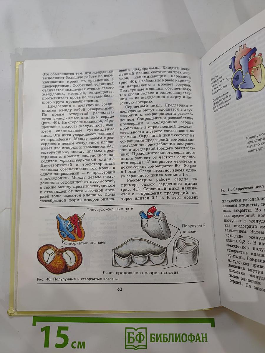 Биология Человек 9 класс