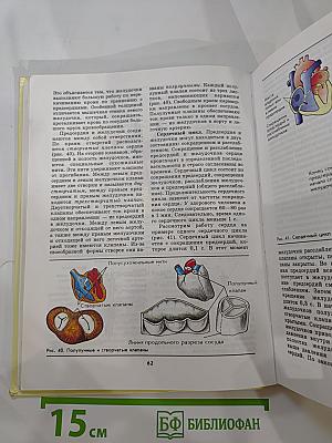 Биология Человек 9 класс