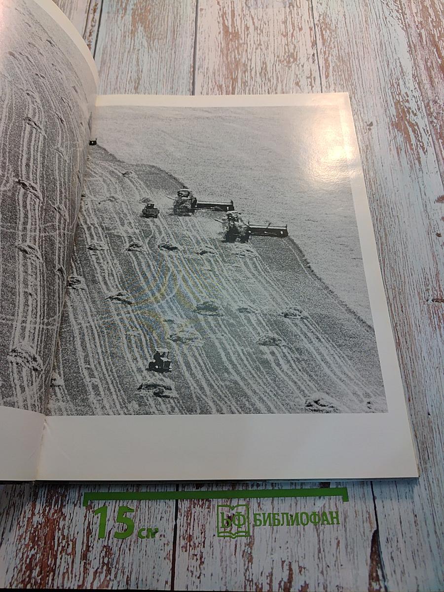 Человек. Его дело