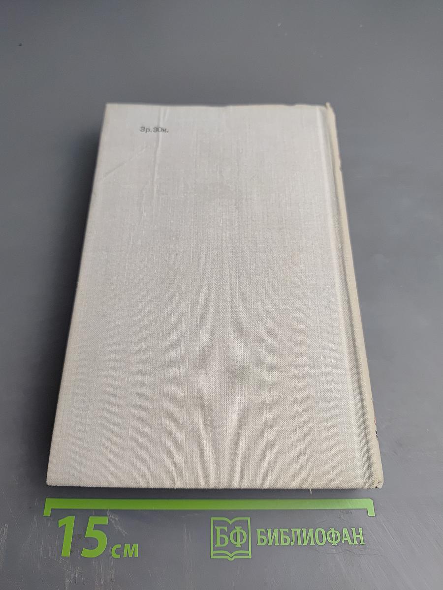 Виконт де Бражелон, или Десять лет спустя. Части 3, 4