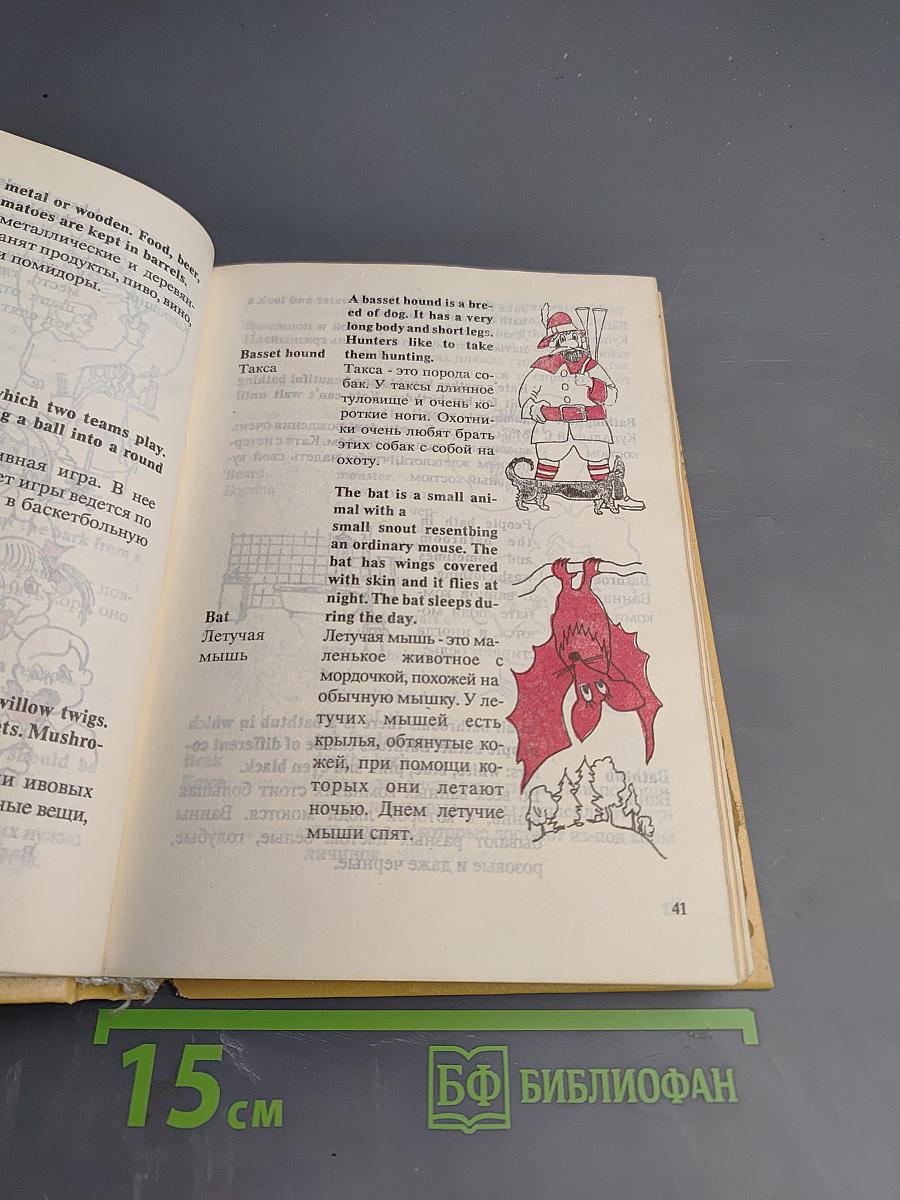 Детский англо-русский словарь с иллюстрациями