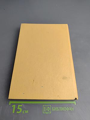 Детский англо-русский словарь с иллюстрациями